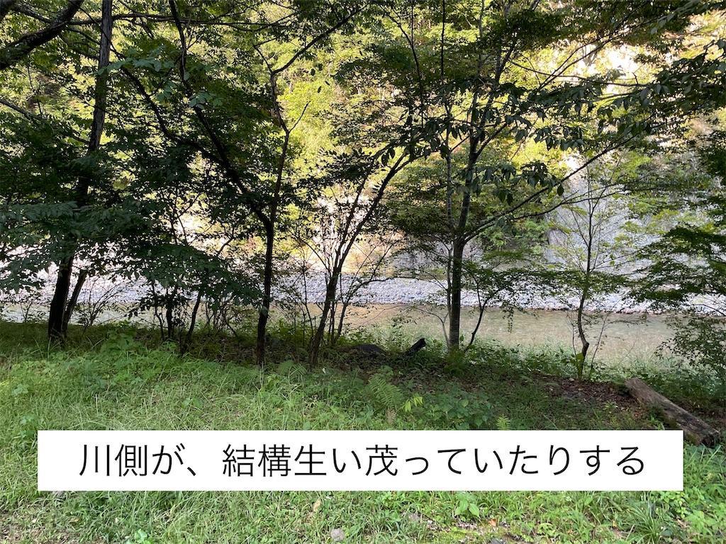 f:id:wane-hiro:20210927225937j:image f:id:wane-hiro:20210927225937j:image