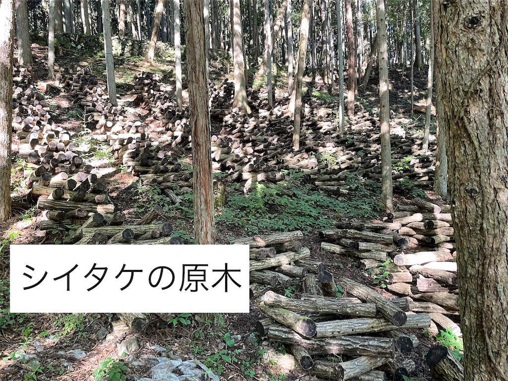f:id:wane-hiro:20210927230350j:image f:id:wane-hiro:20210927230350j:image